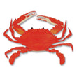 Red Crab JJJA004C